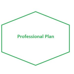 Professional plan